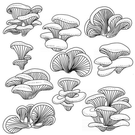 Doodle Mushroom Drawings, Flat Mushroom Drawing, Mushroom Black And White Drawing, Morrell Mushrooms Drawing, Mushroom Line Work Tattoo, Mushroom With Crystals Tattoo, Oyster Mushrooms Tattoo, Cordyceps Mushroom Drawing, Mushroom Cluster Drawing