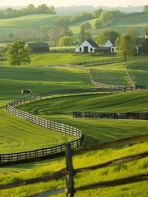 Blue grass region of Kentucky. Wrap Around Porches, Cow Pasture, Big Farm, Green Pastures, White Fence, Farm Lifestyle, Landscape Design Plans, Green Pasture, Farm Houses