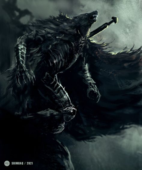 Shimhaq 在 Twitter 上："Foul, tarnished...in search of the Elden Ring! . This wolf knight was one of the highlights of the trailer for me. Still so much to dissect! https://t.co/WKP95LJJ1t" / Twitter The Elden Ring, Wolf Knight, Dark Souls 2, Demon Souls, Dark Souls Art, Werewolf Art, 다크 판타지, Dark Soul, Elden Ring