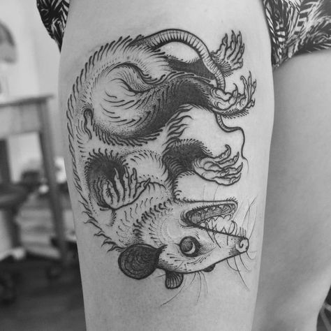 Possum Line Art, Rat Tattoo Blackwork, Hedgehog Skeleton, Opossum Drawing, Opossum Skull, Possum Tattoo, Opossum Tattoo, Opossum Art, Creature Tattoo