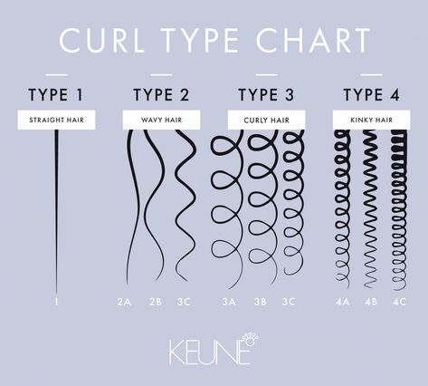 Curl Pattern Chart, Curl Type Chart, Type 2a Hair, 4b Hair Type, Hair Type Chart, 2a Hair, Hair Chart, Type Chart, Different Types Of Curls