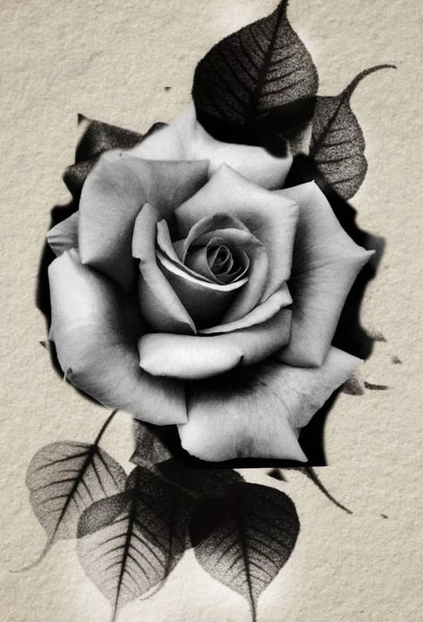 Rose Back Tattoo Women, Realism Rose Tattoo, Realistic Flower Drawing, Roses Tattoos, Dark Roses Tattoo, Rose Tattoo On Back, Animal Stencil Art, Realistic Rose Tattoo, Black And Grey Rose