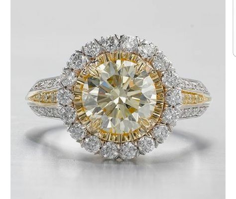 Round Diamond Ring Designs, Yellow Diamond Engagement Rings, Dimond Ring, Rose Gold Halo Engagement Ring, Yellow Diamond Ring, Black Diamond Solitaire, Yellow Diamonds Engagement, Stunning Diamond Rings, Fine Engagement Rings