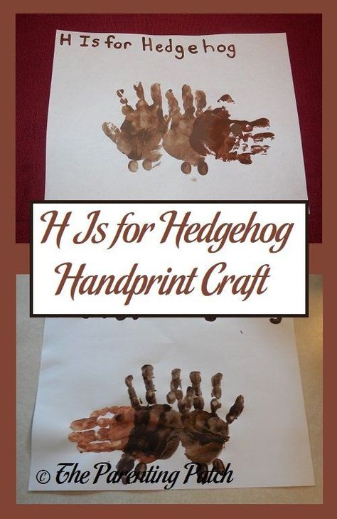 H is for hedgehog! Make a letter H hedgehog craft with handprints using nontoxic paint. Make A Letter, Hedgehog Craft, How To Make Letters, Experiments Kids, Fun Educational Activities, Handprint Craft, Educational Activities For Kids, Letter H, Toddler Age