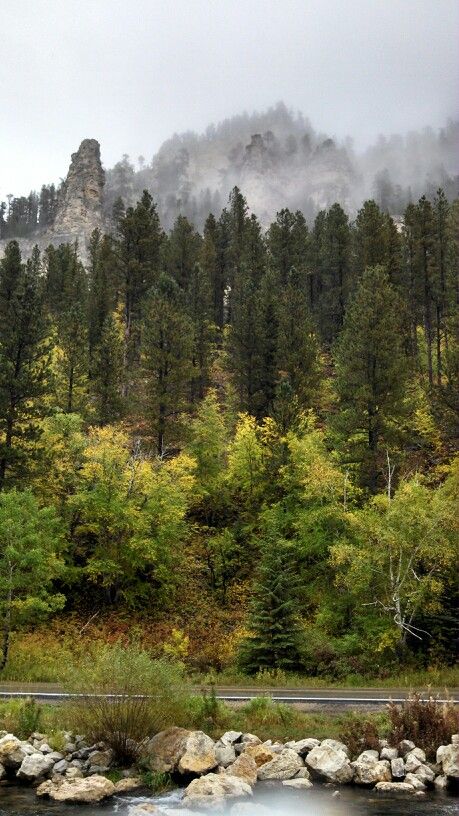 Beautiful South Dakota...Black Hills Black Hills Aesthetic, Black Hills South Dakota Photography, Hometown Aesthetic, Summertime Madness, Black Hills South Dakota, 7 Continents, Picture Boards, Dream Places, Rapid City