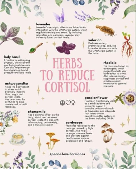 Regulate Cortisol, Lower Cortisol, Herbal Remedies Recipes, Medical Herbs, Magic Herbs, Feminine Health, Herbal Apothecary, Herbal Healing, Home Health Remedies