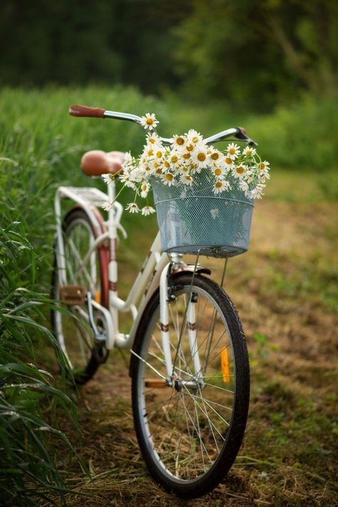 Bike Flowers, Bicycle Pictures, Sunday Kind Of Love, Bicycle Decor, Velo Vintage, Hawaiian Hibiscus, Flower Photoshoot, Old Bicycle, Scenic Travel