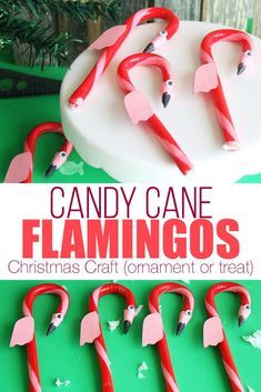 This cute DIY Flamingo Candy Cane Craft for Christmas is fun for a Hawaiian Christmas party or for our Alice in Winter Wonderland Christmas party theme | kid crafts | flamingo craft | candy cane treat | flamingo candy cane | edible flamingo treat | fun food ideas | edible craft | Christmas candy cane ornament | flamingo ornament #christmas #kidscrafts #flamingo Diy Flamingo, Winter Wonderland Christmas Party, Flamingo Craft, Candy Cane Crafts, Diy Christmas Party, Hawaii Christmas, Flamingo Wallpaper, Florida Christmas, Hawaiian Christmas