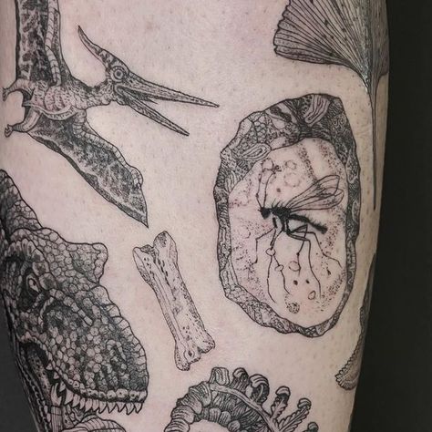 Susanne König on Instagram: "The project of my dreams, a dinosaur/ prehistoric/ jurassic park -ish themed leg, started this week with two days on mega trooper and dream client Jasper from Belgium! Thank you so much, I can’t wait to continue!!!🦖❤️ Done @raincitytattoocollective 

.
.
.
.
.
.
.
#suflanda #tattoo #dotworktattoo #dotwork #manchester #manchestertattooing #dinosaur #dinosaurtattoo #fineline #finelinetattoo #blackwork #blackworktattoo #ferntattoo #fossil #fossiltattoo #nerd #jurassicpark #jurassicworld #jurassicparktattoo #susasklubhaus" Dinotopia Tattoo, Pterosaur Tattoo, Paleontology Tattoo, Suflanda Tattoo, Dinosaur Sleeve Tattoo, Dinosaur Fossil Tattoo, Jurrasic Park Tattoo, Brachiosaurus Tattoo, Prehistoric Tattoo