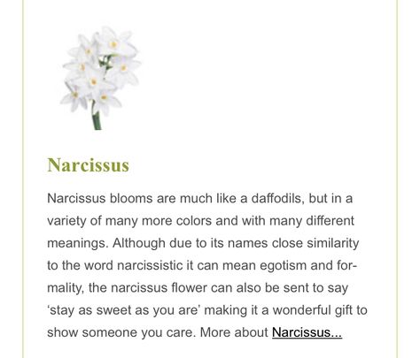 Flower Witchcraft, Narcissus Flowers, Narcissus Flower, Different Meaning, Flower Meanings, Spiritual Meaning, Philosophy, Meant To Be, Word Search Puzzle