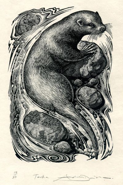 River Otter Art, Otter Drawing, Otter Illustration, Otter Art, Woodcut Art, Relief Printmaking, River Otter, Linocut Art, Woodcuts Prints