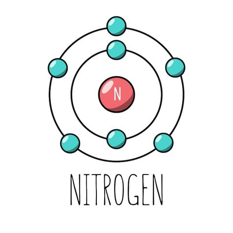 Carbon Atom Model, Atom Model Project, Bohr Model, Atom Model, Periodic Elements, Science Projects, Baby Cats, Graphic Design Posters, Vector Photo