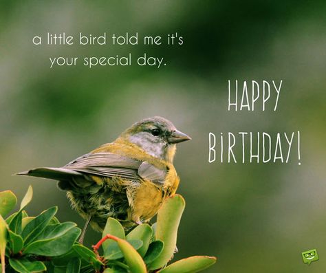 Happy Birthday Bird, Happy Birthday Birds, Cool Happy Birthday Images, Free Happy Birthday Cards, Snoopy Birthday, The Perfect Birthday, Happy Birthday Beautiful, Birthday Poems, Happy Birthday Wishes Quotes