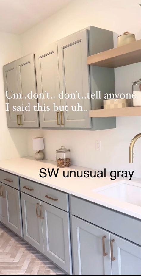 Gray Bathroom Cabinets Painted, Light Grey Walls Kitchen, Light Grey Kitchen Cabinets Paint Colors, Sw Unusual Gray, Light Gray Walls Kitchen, Behr Light French Gray, Unusual Gray, Gray Paint Colors Sherwin Williams, Grey Painted Cabinets