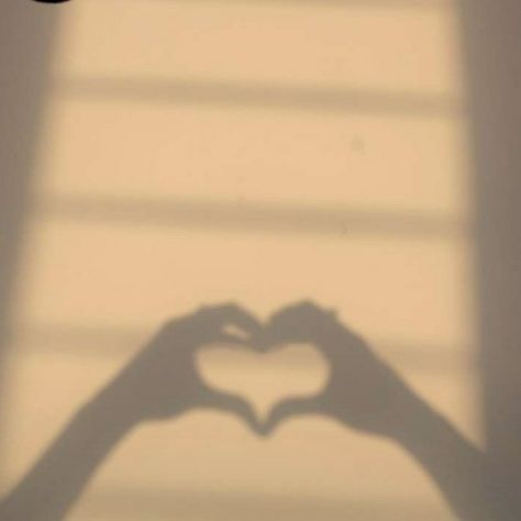 Love is in the air Shadow Photoshoot, Feed Photos, Heart Shadow, Heart Sign, Love Is In The Air, Heart Shape, Heart Shapes