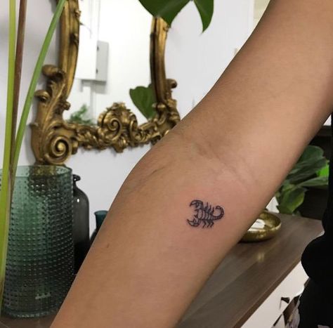 Scorpio Zodiac Tattoos, Horoscope Tattoos, Scorpio Tattoo, Stylish Tattoo, Scorpion Tattoo, Geniale Tattoos, Zodiac Tattoos, Dainty Tattoos, Dream Tattoos