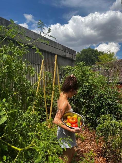 Tomato Plants Aesthetic, Backyard Vegetable Garden Aesthetic, Spring Gardening Aesthetic, Growing Vegetables Aesthetic, Fruit And Vegetable Garden Aesthetic, Woman Gardening Aesthetic, Urban Garden Aesthetic, Vision Board Garden, Lawn Mowing Aesthetic