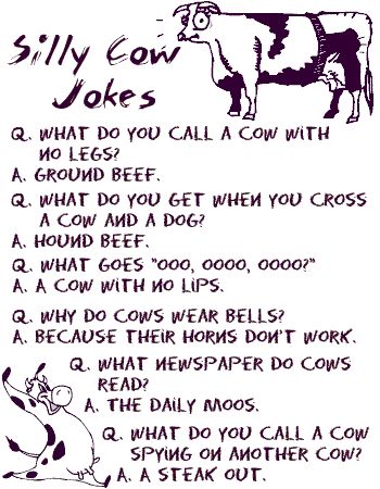 cow joke :) *adore* corny jokes. Grew up hearing these from my dad! Cow Jokes, Silly Cow, Funny Pranks For Kids, Funny Puns For Kids, Farm Jokes, Pranks For Kids, Lunchbox Jokes, Farm Work, Cheesy Jokes