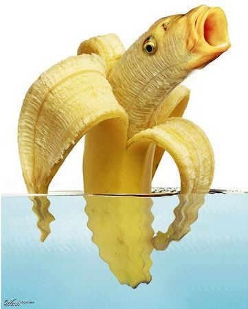 LѪ♌♡ Animal Mashups, Photoshopped Animals, Banana Art, A Banana, Top Funny, Fishing Humor, Food Humor, Funny Images, Really Funny