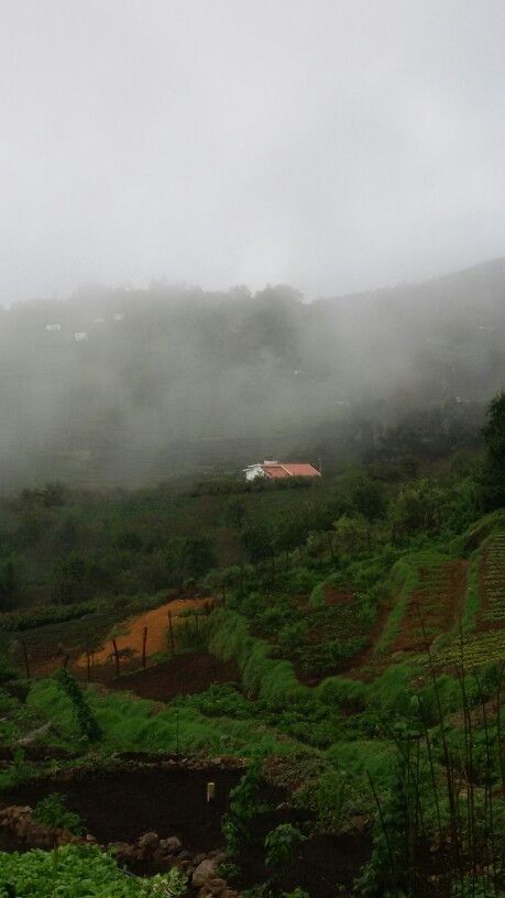 Kodaikanal.. Kodaikanal Poondi Photography, Ooty Hill Station Photography, Kodaikanal Photos, Ooty Hill Station, Ooty Tamilnadu, Tamil Aesthetic, Mystical Nature, South India Tour, India Tourist