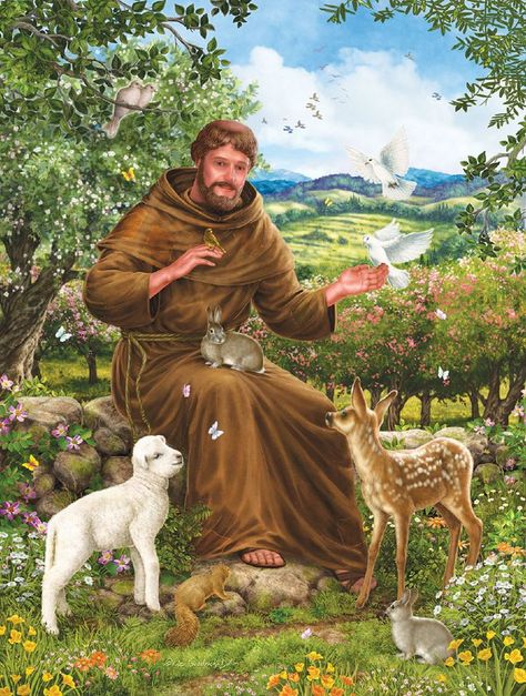 St Francis Assisi, Summer Puzzle, Happy Feast, St Francis Of Assisi, Francis Of Assisi, San Francesco, Mary And Jesus, Angel Pictures, 500 Piece Puzzles