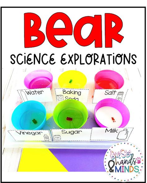 Teddy Bear Science Preschool, Bear Science Preschool, Hibernation Science Experiment, Hibernation Preschool Theme, Bear Theme Preschool, Hibernation Preschool Activities, Hibernation Preschool, Preschool Zoo Theme, Pirate Preschool