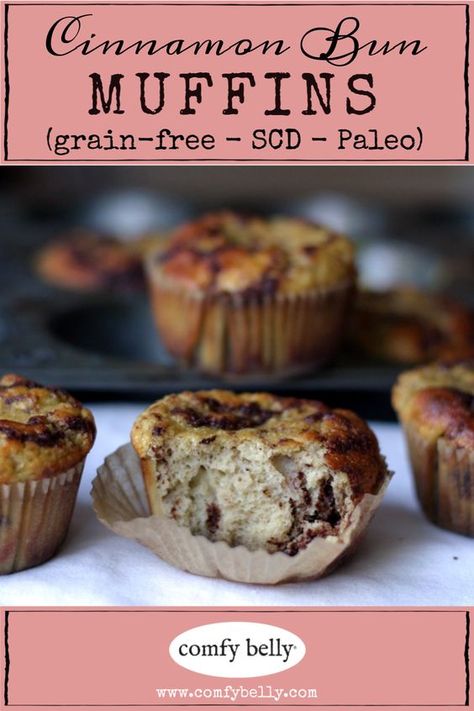 Grain Free Cinnamon Muffins, Coconut Flour Cinnamon Muffins, Scd Dessert Recipes, Paleo Muffins Coconut Flour, Scd Muffins, Scd Diet Recipes, Scd Snacks, Scd Desserts, Paleo Muffin