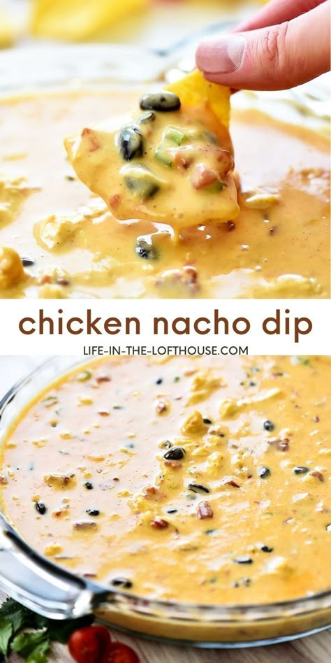 Main Course Potluck Dishes, Freeze Cups, Chicken Nacho Dip, Chicken Queso Dip, Creamy Cheese Dip, Velveeta Dip, Chicken Cheese Dip, Chicken Black Beans, Best Dip Recipes