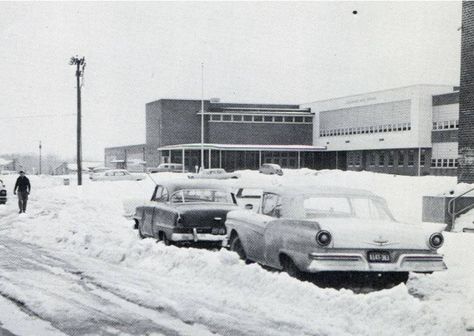 Annandale High School 1961 60s High School, 1970s High School, Hoyningen Huene Photography, Sunnydale High School, North Shore High School, Vintage Stuff, Old Pictures, Old Photos, Virginia