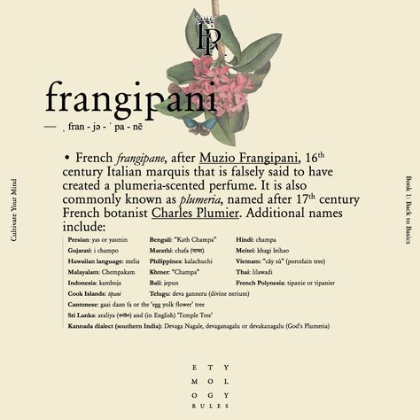 Frangipani Meaning, Frangipani Perfume, Hibiscus Flower Meaning, Everskies Profile, Polynesian Dance, Frangipani Flower, Ocean Girl, Print Journal, Flower Meanings