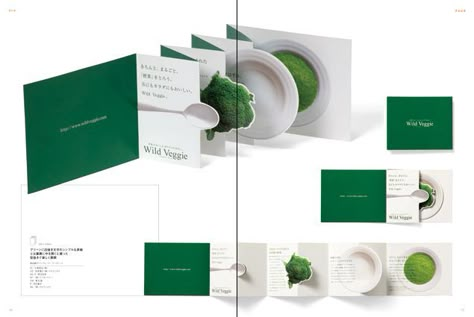 Mises En Page Design Graphique, Brochure Design Creative, Pamphlet Design, Dm Design, Creative Brochure, Leaflet Design, Booklet Design, 카드 디자인, Brochure Layout