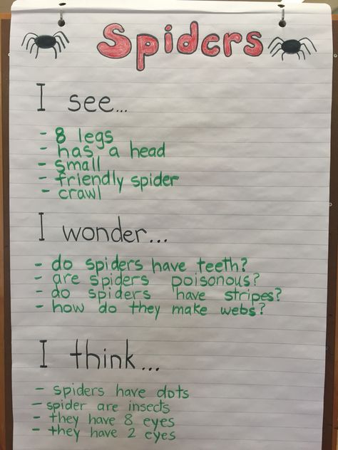 Kindergarten spider inquiry. I see, I wonder, I think. Visible Thinking Routines Kindergarten, I See I Think I Wonder Kindergarten, I See I Think I Wonder, Bug Inquiry Kindergarten, Spider Inquiry Kindergarten, Spider Kindergarten Activities, Spider Unit Kindergarten, Spiders Kindergarten, Inquiry Based Learning Kindergarten