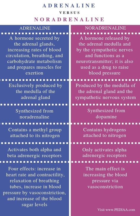 Differences between adrenaline and noradrenaline - hormones and neurotransmitters Found on Google Memes Nursing, Adrenal Medulla, Sympathetic Nervous System, Nursing Pictures, Psychology Notes, Funny Nursing, Study Biology, Biology Facts, Medical Student Study