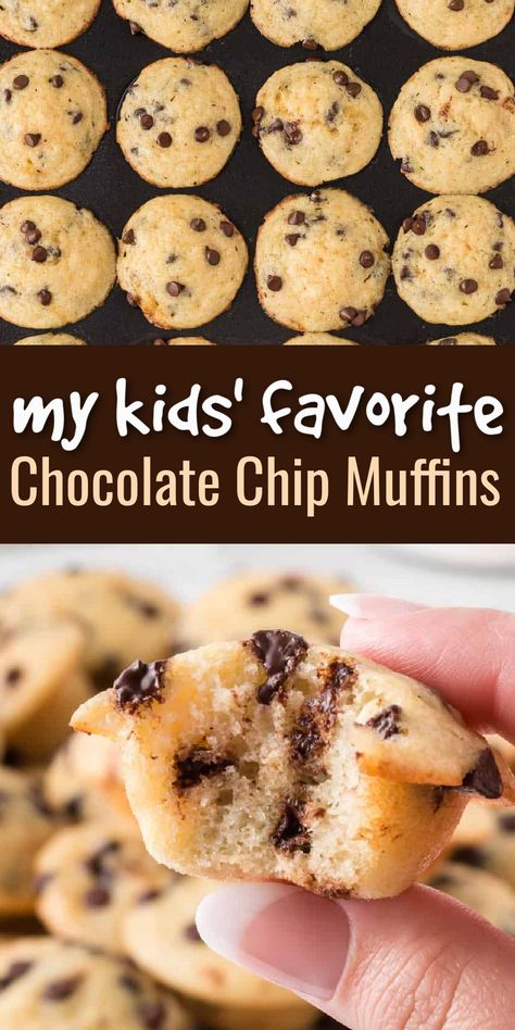 My kids always request these chocolate chip mini muffins! They're easy to make, healthy, and delicious! Mini Muffins For Kids Healthy, Healthy Chocolate Mini Muffins, Simple Muffins For Kids, Healthy Mini Muffins For Toddlers, Mini Muffin Tin Recipes Healthy, Healthy Chocolate Muffins For Kids, Easy Healthy Muffins For Kids, Homemade Little Bites Muffins, Kids Healthy Breakfast Ideas