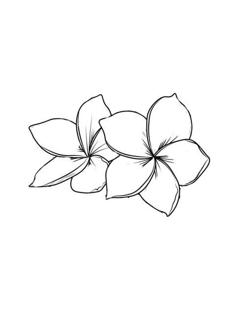 Frangipani Tattoo Designs, Frangipani Flower Tattoo, Plumeria Tattoo Stencil, Plumeria Flower Tattoo, Lineart Flowers, Hibiscus Line Art Tattoo, Frangipani Flower, Plumeria Drawing, Simple Flower Outline