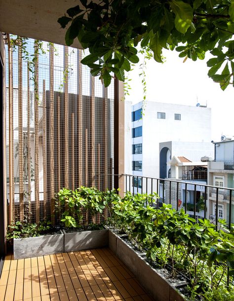 Gallery of Tree-House / ROOM+ Design & Build - 18 Balcony Planters, Balcony Flooring, Rooftop Terrace Design, Home Balcony, Balcony Plants, Tropical House, Terrace Design, Roof Garden, Rooftop Terrace