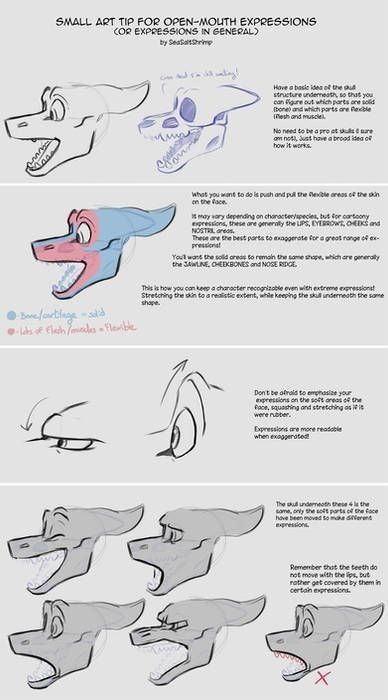 Anthro Anatomy, Anthro Reference, Drawing Facial Expressions, Anthro Design, Face Studies, Tips For Drawing, Quick Art, Dragon Heads, Animation Ideas