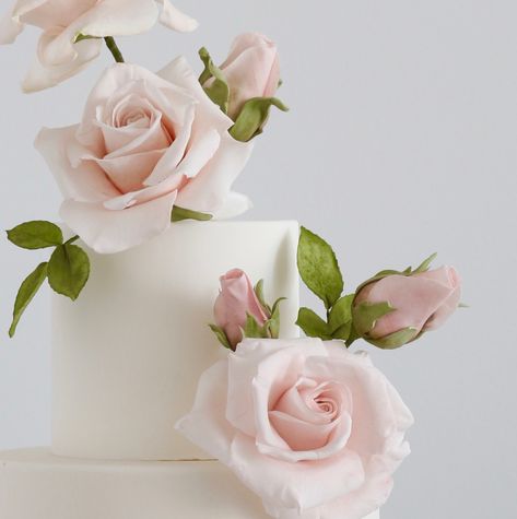 Zoe Clark Cakes, 70 Cake, Bmw Cake, Gum Paste Flowers Tutorials, Diamond Cake, Flower Cake Design, Cake Structure, Sugar Paste Flowers, Modern Cake