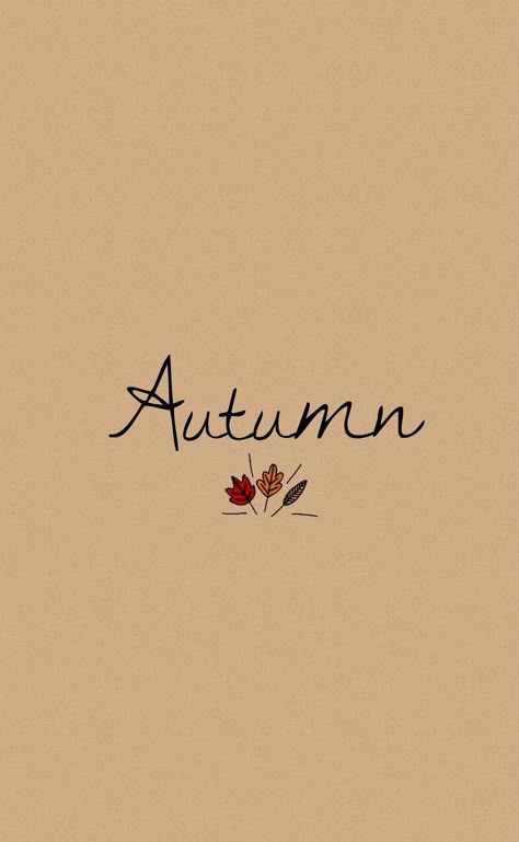 Sfondo autunnale Iphone Wallpaper Pink, Iphone Wallpaper Black, Autumn Phone Wallpaper, Autumn Wallpapers, October Wallpaper, Iphone Wallpaper 4k, Handy Wallpaper, Fall Wallpapers, Autumn Wallpaper