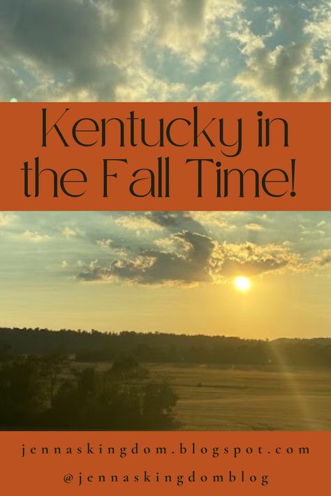 Kentucky is beautiful in general, but something about the fall has made it even more stunning! There are lots of fun foods and fall activities in Kentucky to check out. Fun Foods, Fall Time, Fall Activities, What To Eat, Autumn Activities, Fall Fun, In The Fall, Made It, The Fall