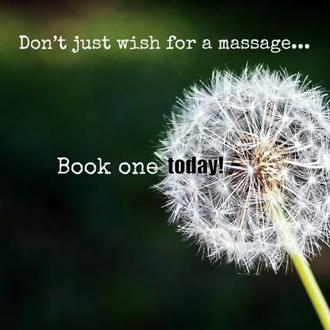 Massage Therapy Humor, Chiropractor Humor, Massage Meme, Massage Art, Massage Therapy Quotes, Spa Quotes, Spa And Massage, Massage Marketing, Massage Therapy Rooms