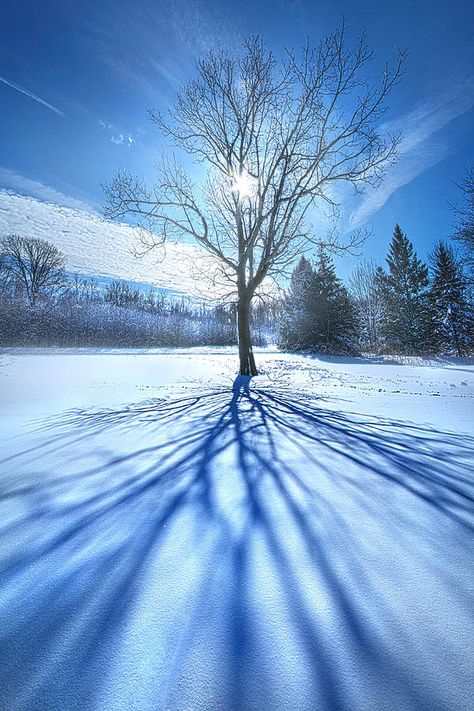 From Earth to Sky Photograph by Phil Koch February Weather, Arctic Blast, Landscape Photography Nature, Travel Pics, February 6th, Winter Scenery, Winter Scenes, Nature Pictures, Beautiful Landscapes