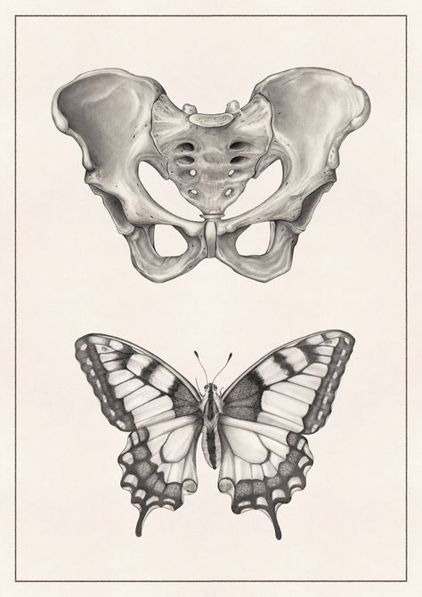 Anatomy And Nature Art, Bone Reference Drawing, Bone Illustrations, Butterfly Bones, Butterfly Anatomy, Bone Butterfly, Anatomy Artwork, Bone Drawing, Basquiat Art