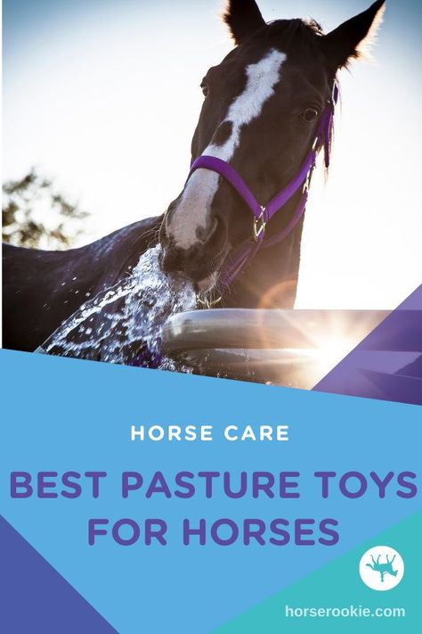 Does your horse get bored in the pasture? Here are some great horse toys to keep your horse active and entertained during turnout. Diy Toys For Horses, Horse Toys Diy, Horse Toys For Horses, Horse Toys, Horse Boredom Busters Diy, Mud Control For Horses, Things To Do With Your Horse When You Cant Ride, Mud Management For Horses, Toys For Horses