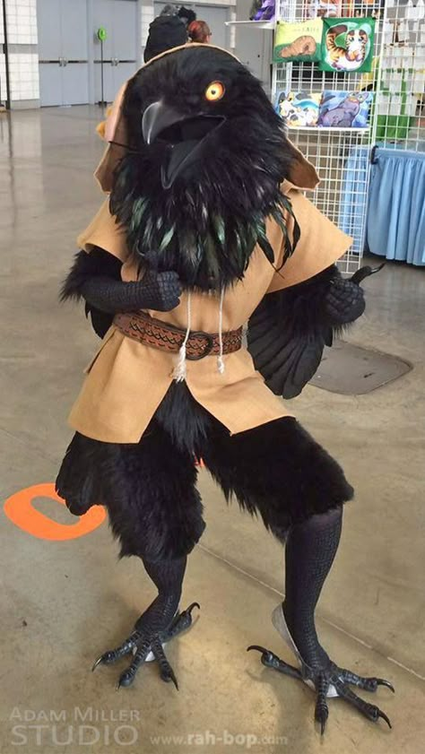 Raven Costume, Bird Costume, Cosplay Diy, Fantasy Costumes, Amazing Cosplay, Halloween 2020, 판타지 아트, 영감을 주는 캐릭터, Fete Halloween