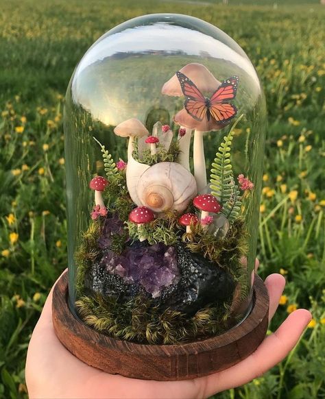 Crystal Jars, Crystal Terrarium, Mushroom Butterfly, Kawaii Decor, Plant Friends, Magic Crystal, Mushroom Crafts, نباتات منزلية, Butterfly Crystal