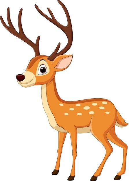 Vector cartoon funny deer on white backg... | Premium Vector #Freepik #vector #cartoon-deer #cute-deer #baby-deer #fawn Deer Breeds, Rain Deer, Rain Gif, Deer Cartoon, Premium Vector Cartoon, Funny Deer, Cartoon Funny, Cute Cartoon Animals, Vector Cartoon