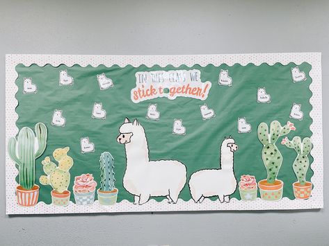 Classroom bulletin board for llama and catus theme. Llama Bulletin Board Ideas, Llama Classroom, Classroom Bulletin Board, Classroom Bulletin Boards, Classroom Setup, Future Classroom, Bulletin Boards, Bulletin Board, Llama