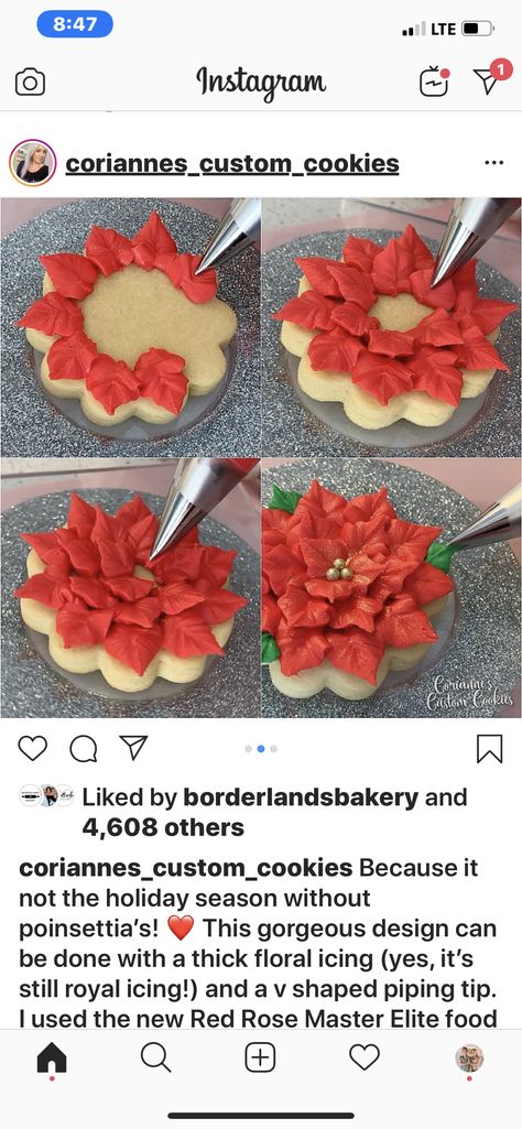 Poinsettia Sugar Cookies, Poinsettia Cookies Decorated, Pointsetta Cookies Decorated, Poinsettia Cookies, Holly Cookies Decorated, Christmas Cookie Bouquet, Holiday Cookies Decorated, Cooking Decorating, Wreath Cookies