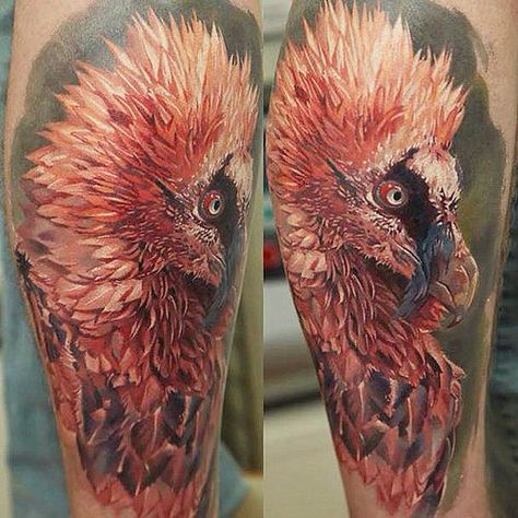 Bearded vulture tattoo Realistic Bird Tattoo, Vulture Tattoo, Colorful Bird Tattoos, Bearded Vulture, Dog Paw Tattoo, Best Tattoo Ideas, Body Tattoo, Realistic Tattoo, Homemade Cat